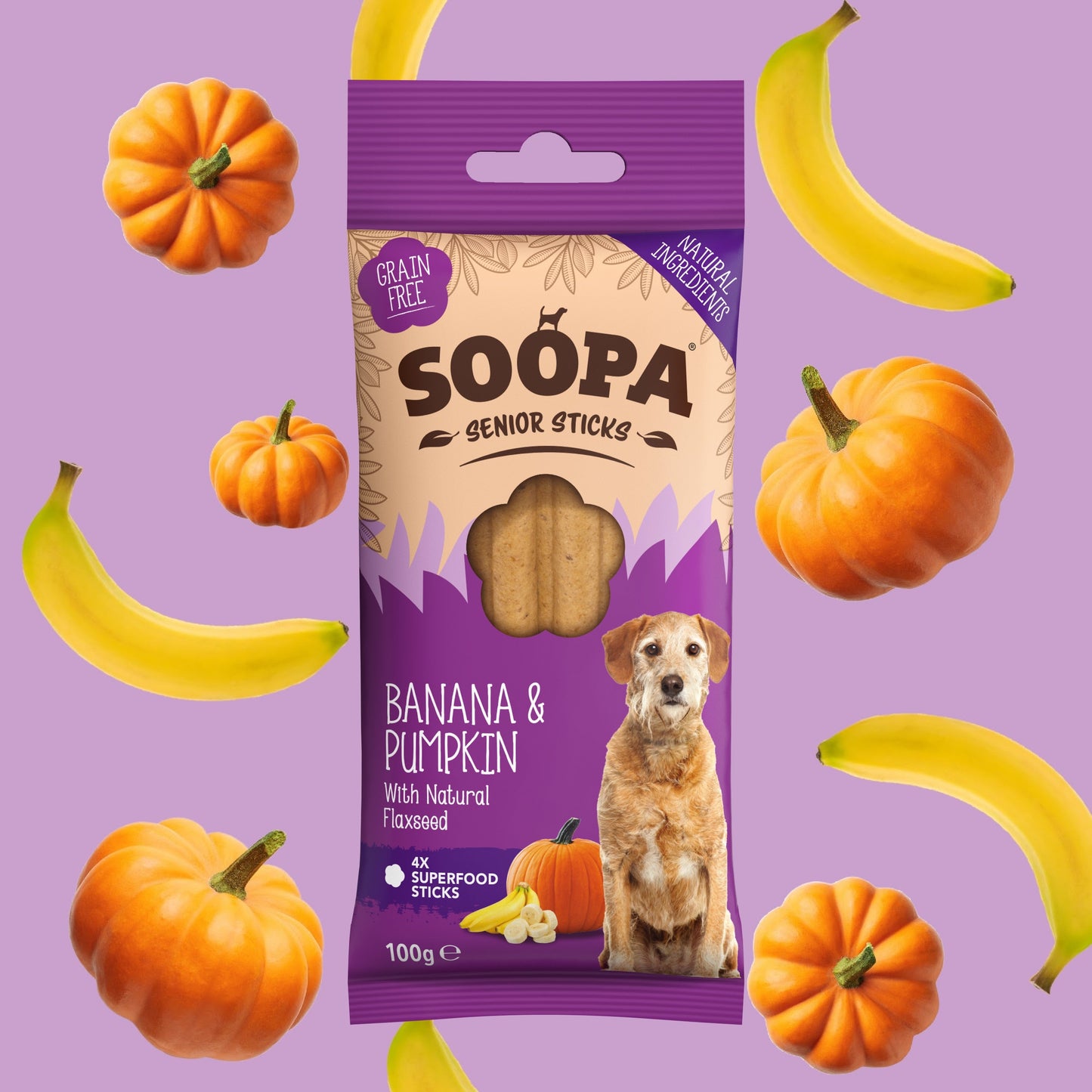 Soopa Superfood Dental Sticks Senior Banana & Pumpkin - Nutritious & Hypoallergenic Dog Treats
