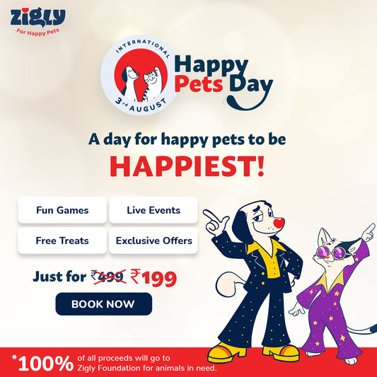 International Happy Pets' Day Pass 2025
