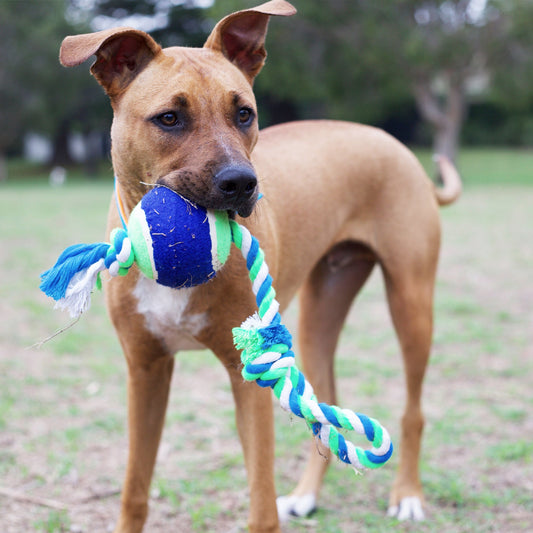 Twisted Rope Sling Tennis Ball Dog Toy